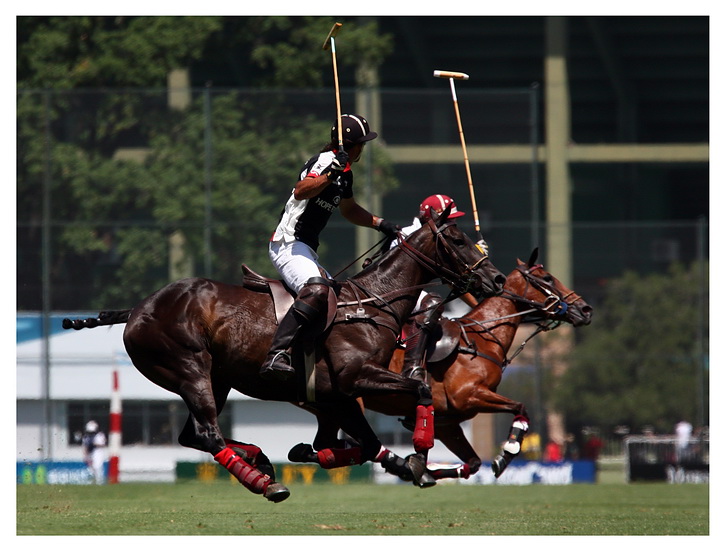 photos Open Palermo 3 day